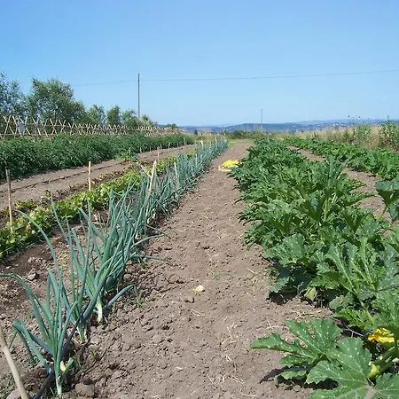 Il Grillo Parlante Feriegård